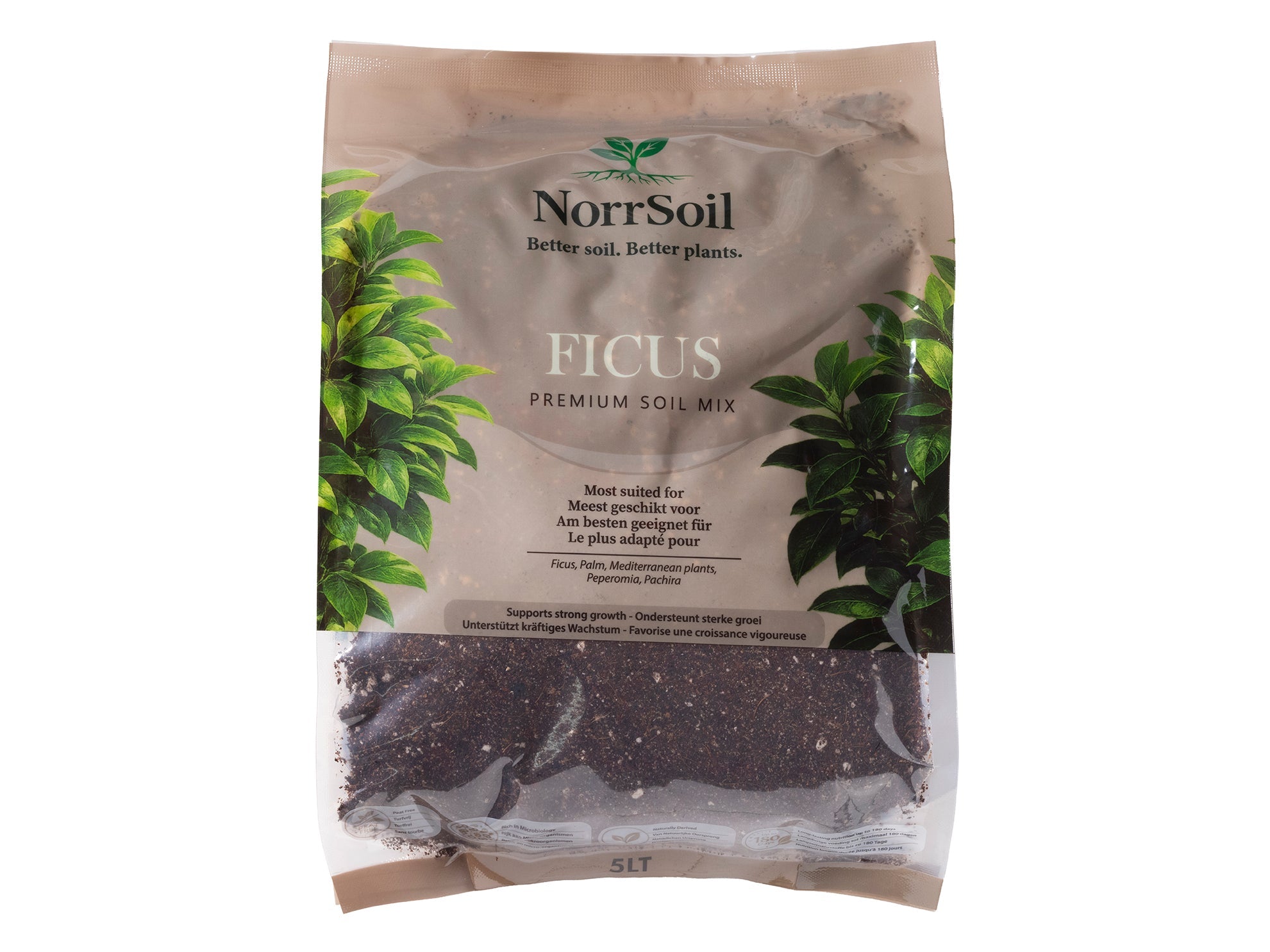 Ficus Mix - Norrsoil