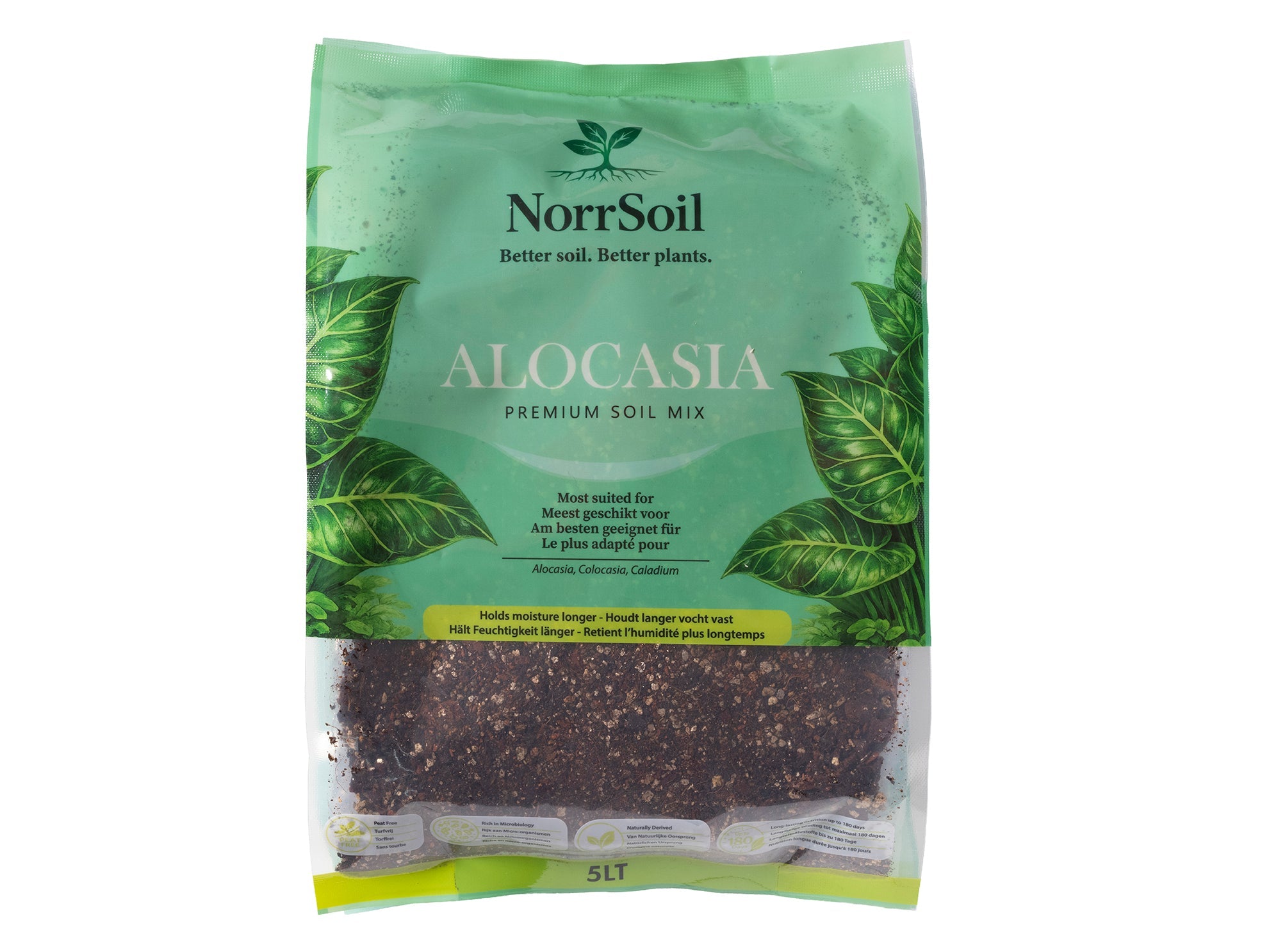 Alocasia Mix - Norrsoil