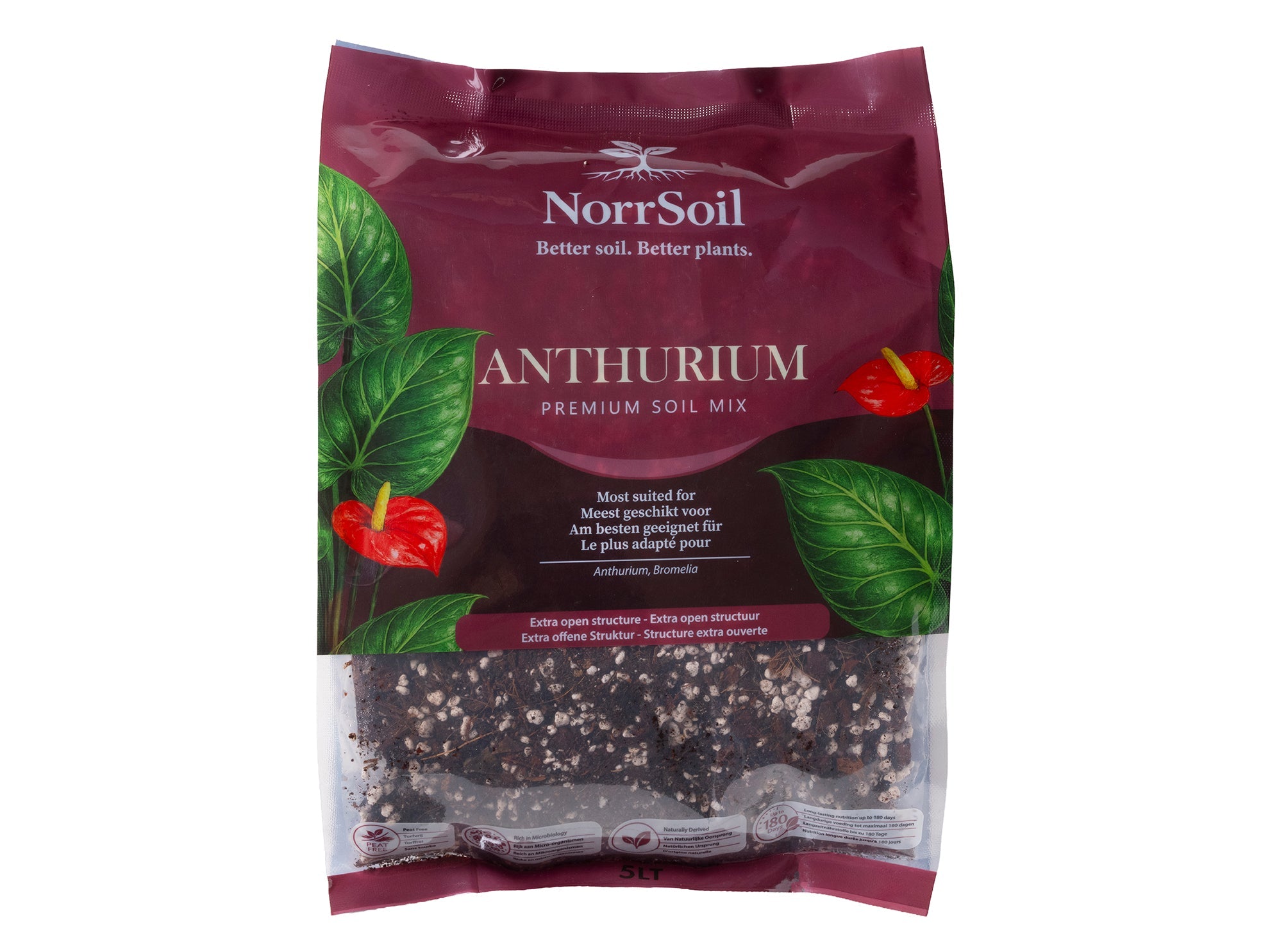 Anthurium Mix - Norrsoil