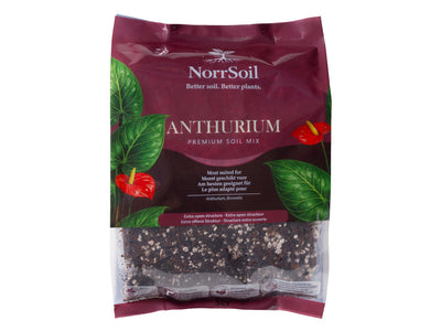 Anthurium Mix - Norrsoil