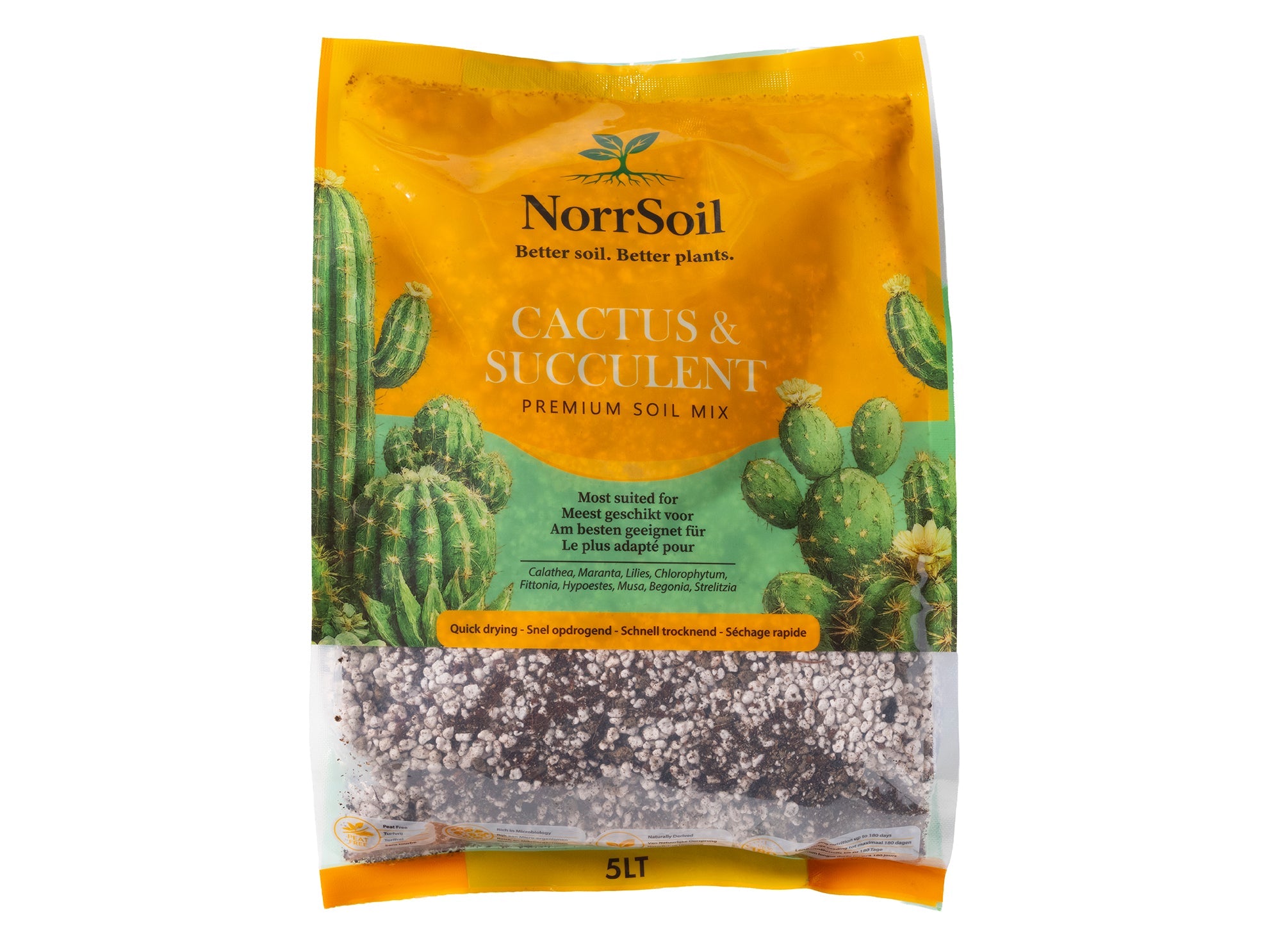 Cacti & Succulent Mix - Norrsoil