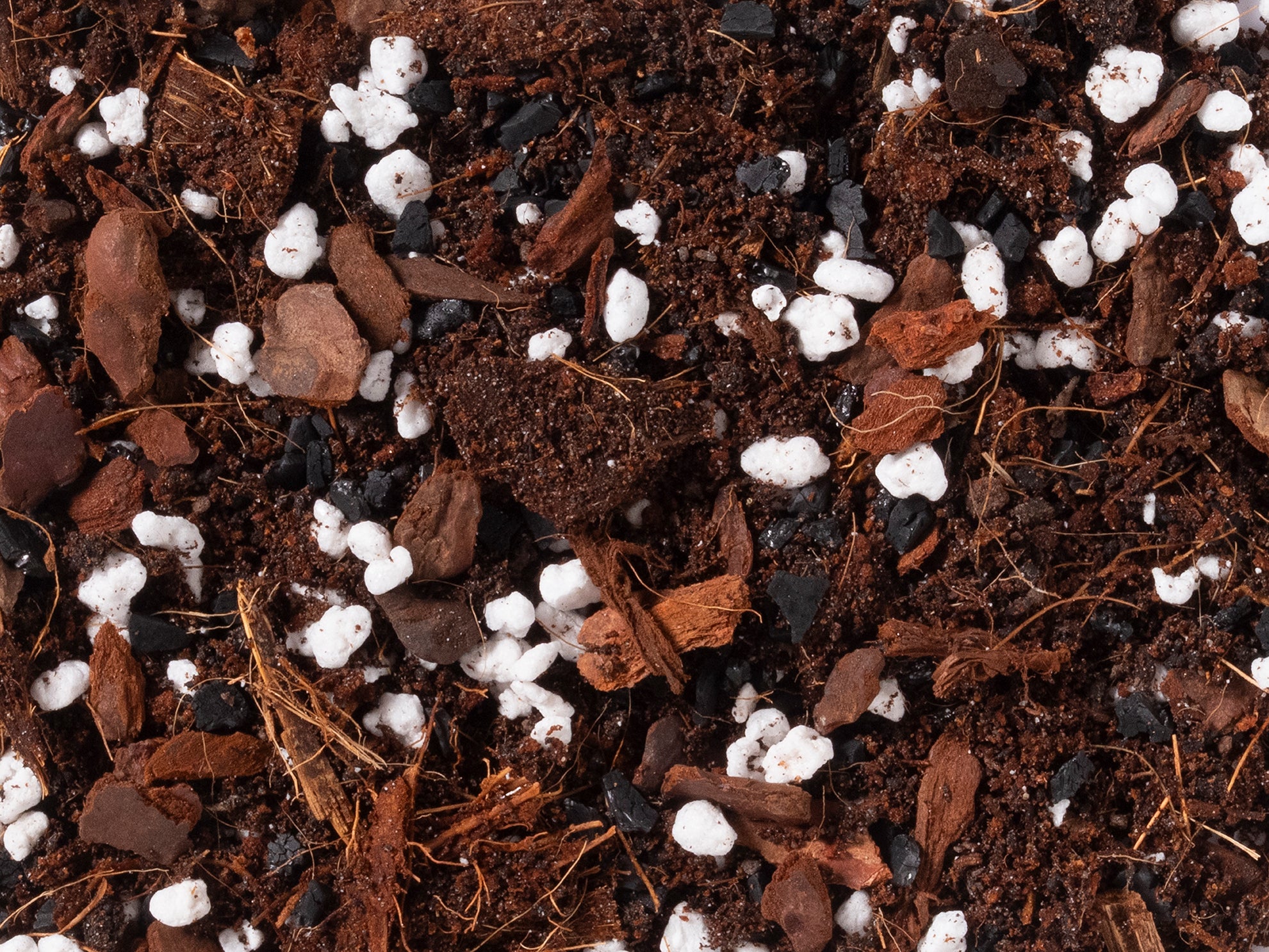 Hoya Mix - Norrsoil