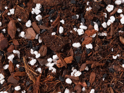 Hoya Mix - Norrsoil