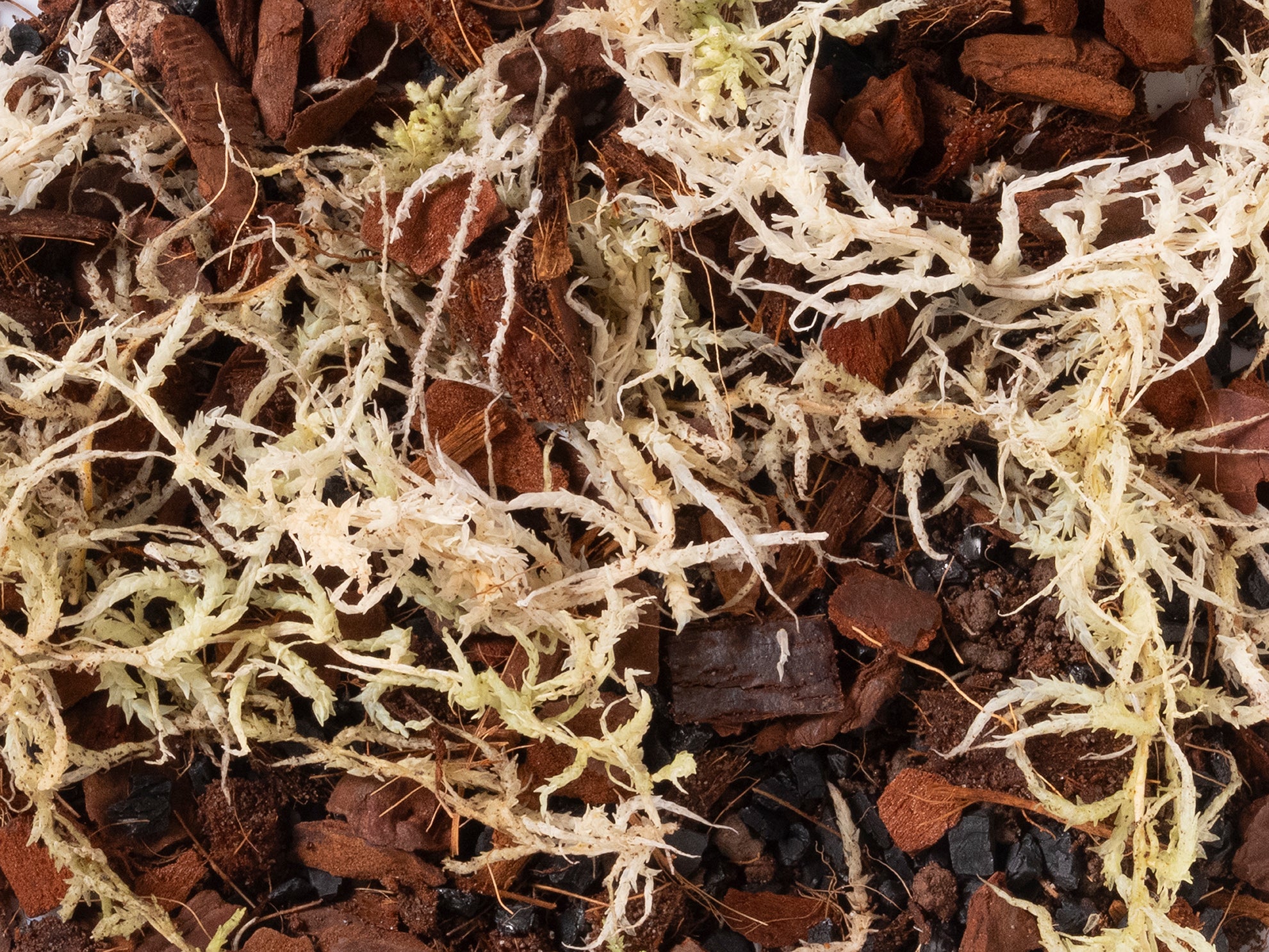 Orchid Mix - Norrsoil