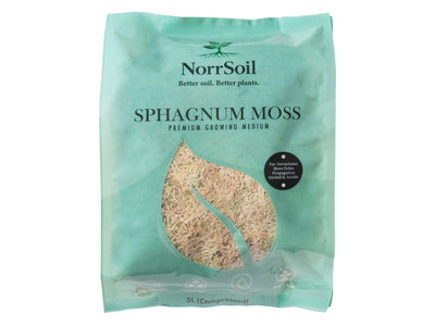 Sphagnum Moss (Indoor Grown Sphagnum) - Norrsoil