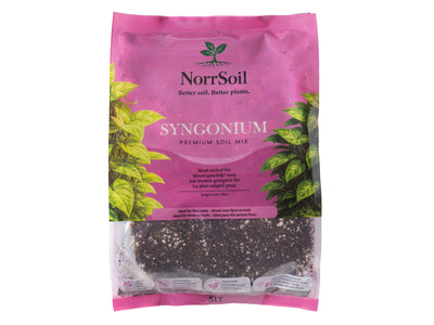 Syngonium Mix - Norrsoil